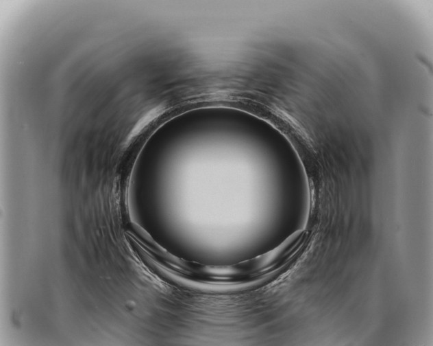 X0000094931450200711291324