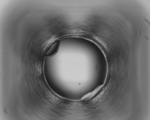 X0000094931451200711291324