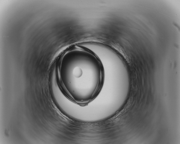X0000094931452200711291324
