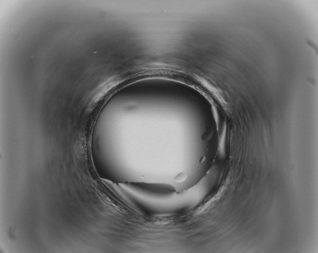 X0000094931453200711291324