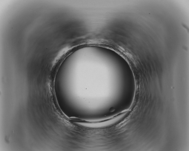 X0000094931454200711291324