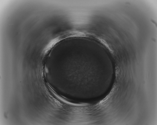 X0000094931455200711291324