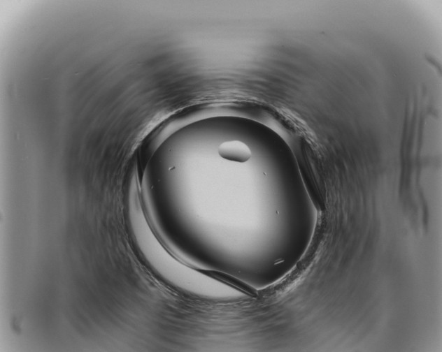 X0000094931457200711291324