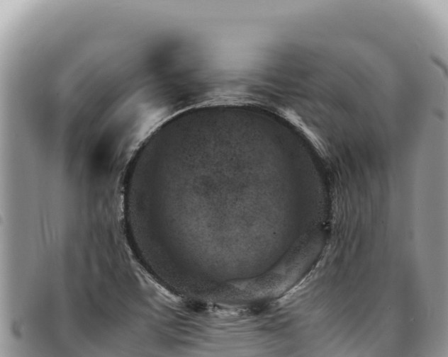 X0000094931459200711291324