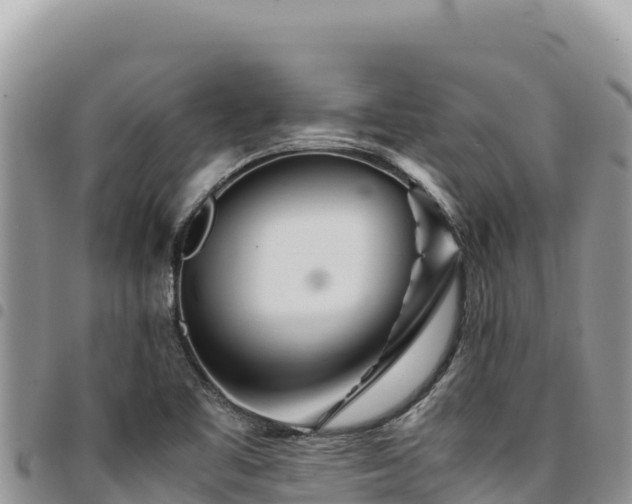 X0000094931461200711291324