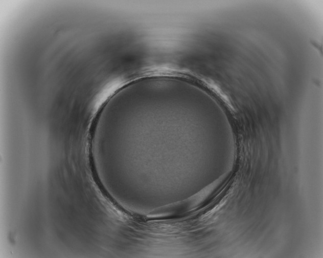 X0000094931463200711291324