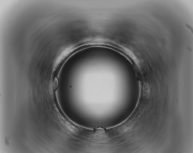 X0000094931464200711291324