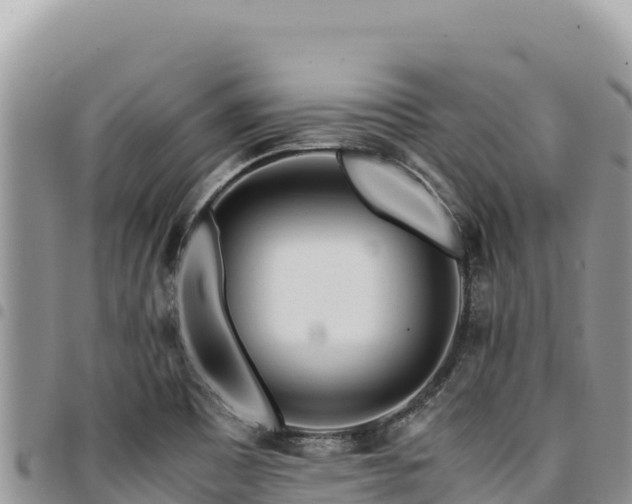 X0000094931465200711291324