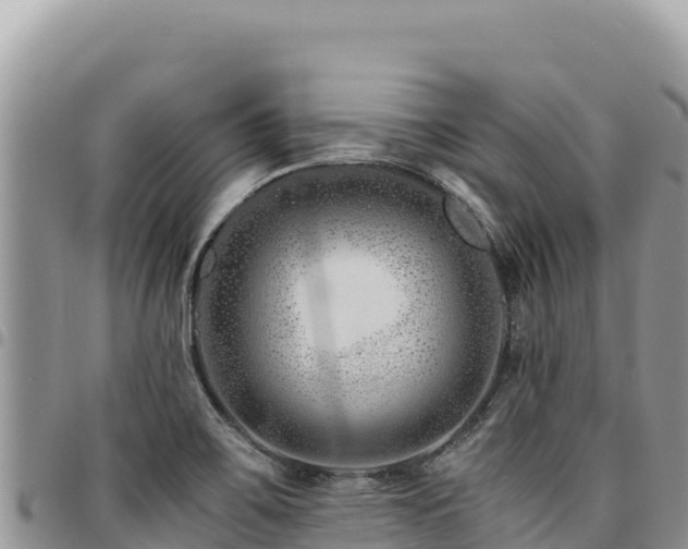 X0000094931467200711291324