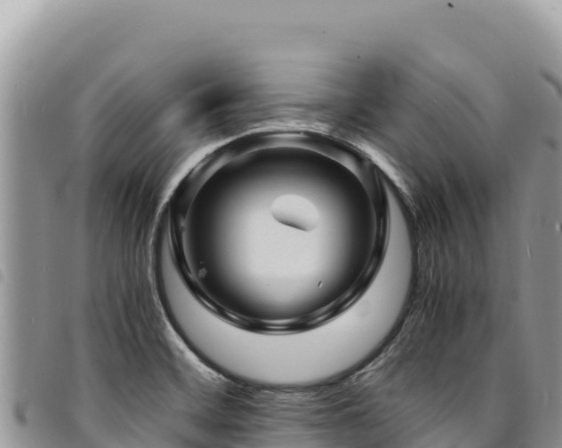 X0000094931468200711291324