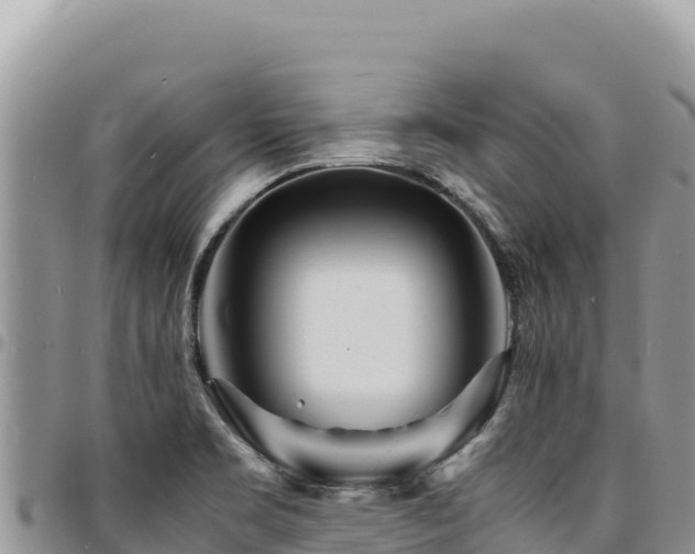 X0000094931469200711291324