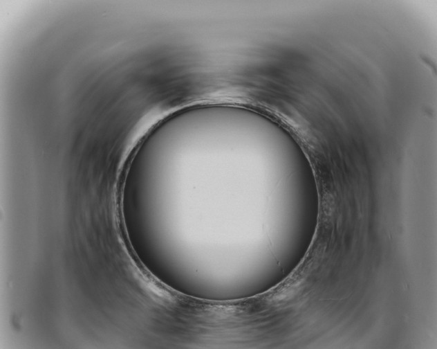 X0000094931470200711291324