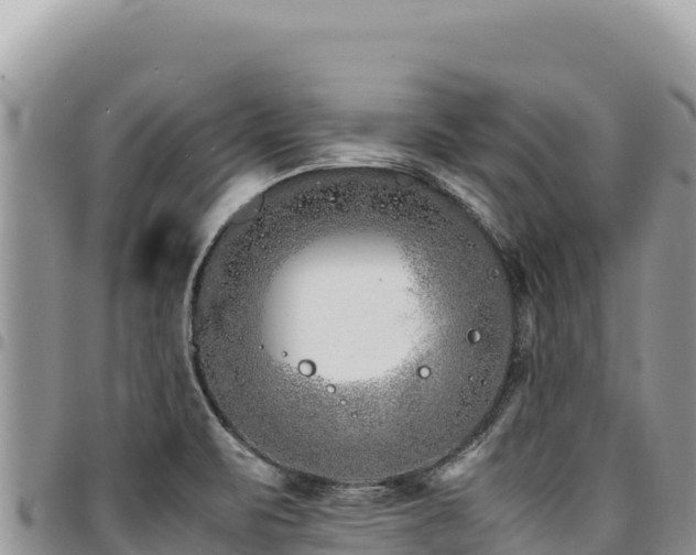 X0000094931471200711291324