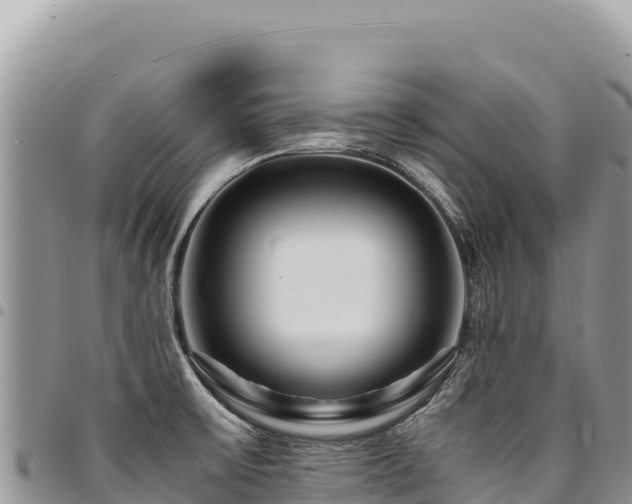 X0000094931475200711291324
