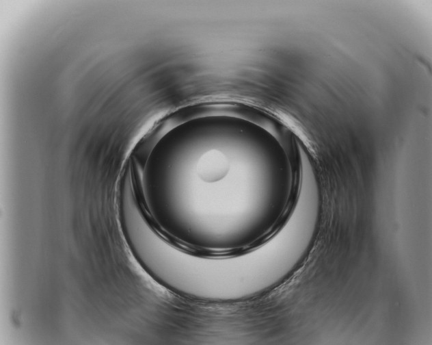 X0000094931476200711291324