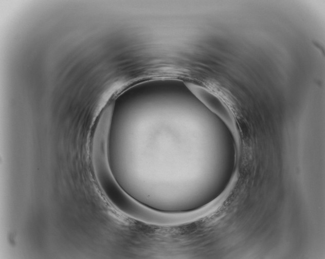 X0000094931477200711291324