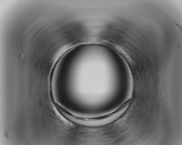 X0000094931479200711291324