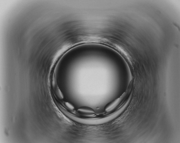 X0000094931480200711291324