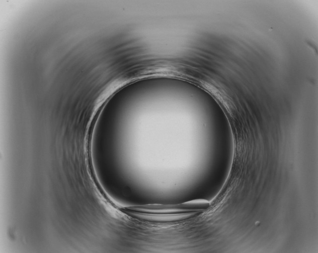 X0000094931482200711291324