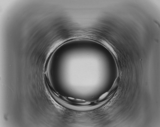 X0000094931485200711291324
