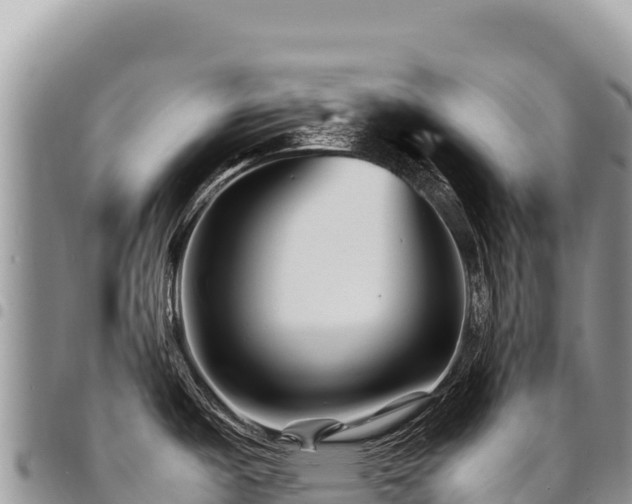 X0000094931487200711291324
