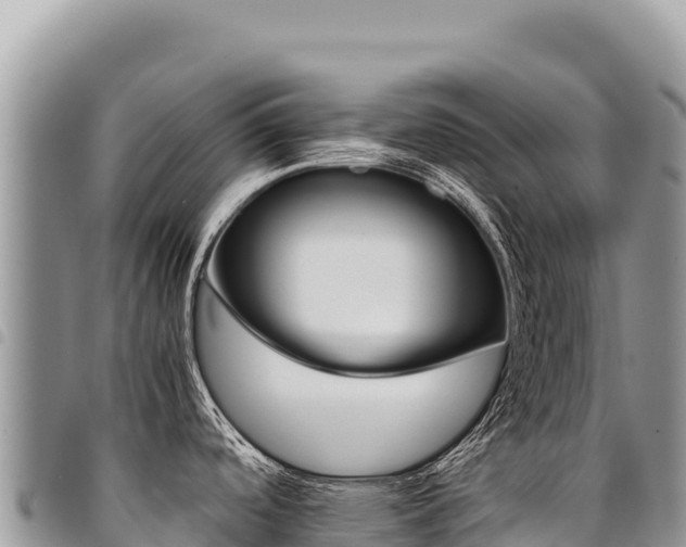 X0000094931488200711291324