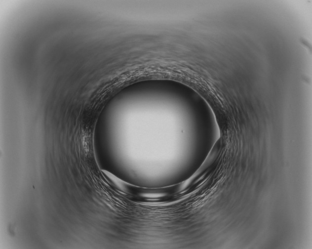 X0000094931490200711291323