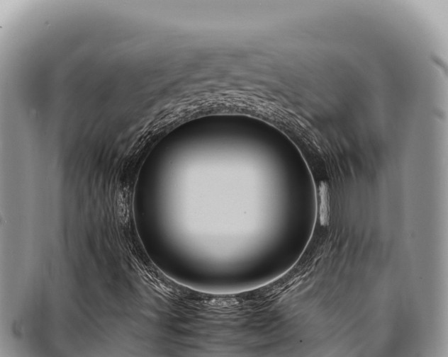 X0000094931491200711291323