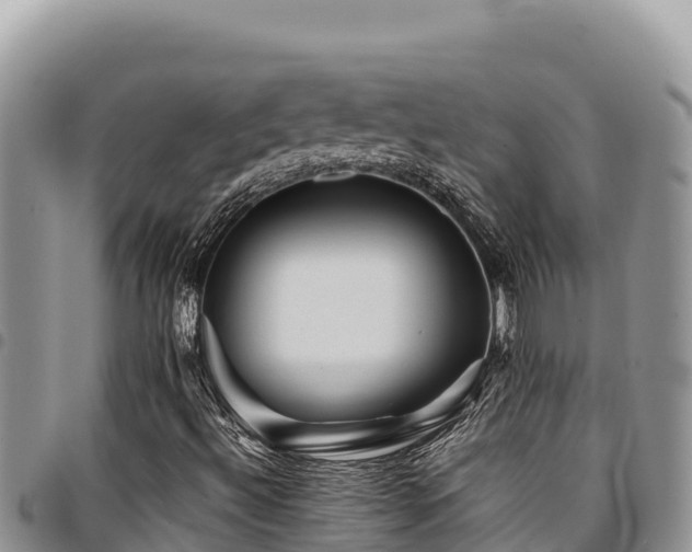 X0000094931492200711291323