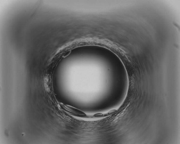 X0000094931494200711291323