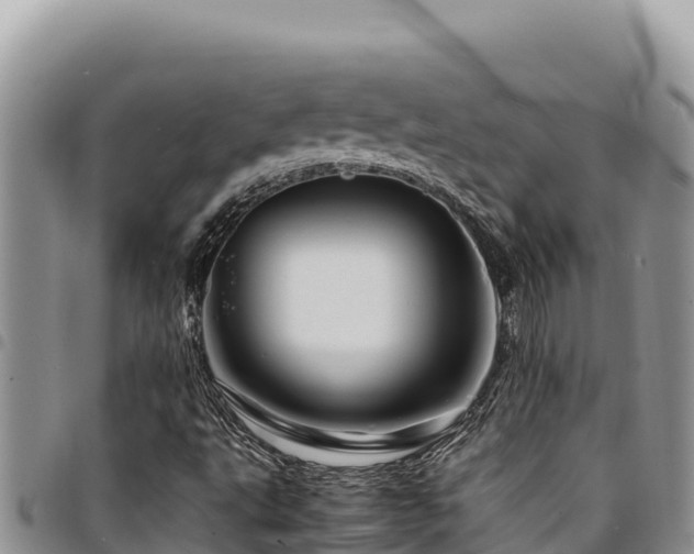 X0000094931495200711291323