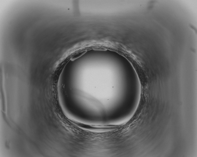 X0000094931496200711291323