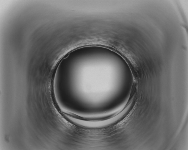 X0000094931500200711291323