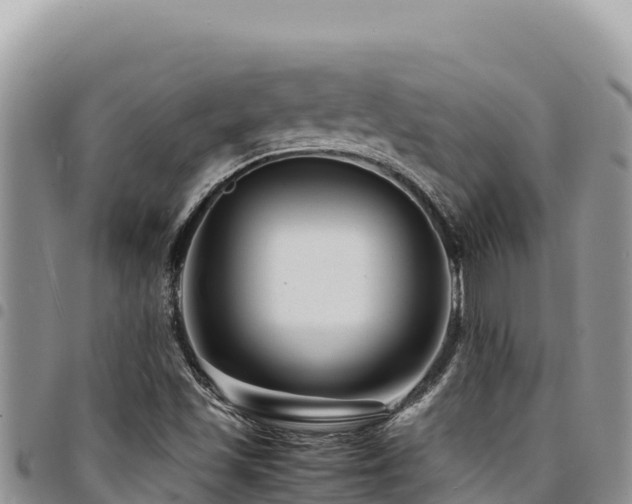 X0000094931501200711291323