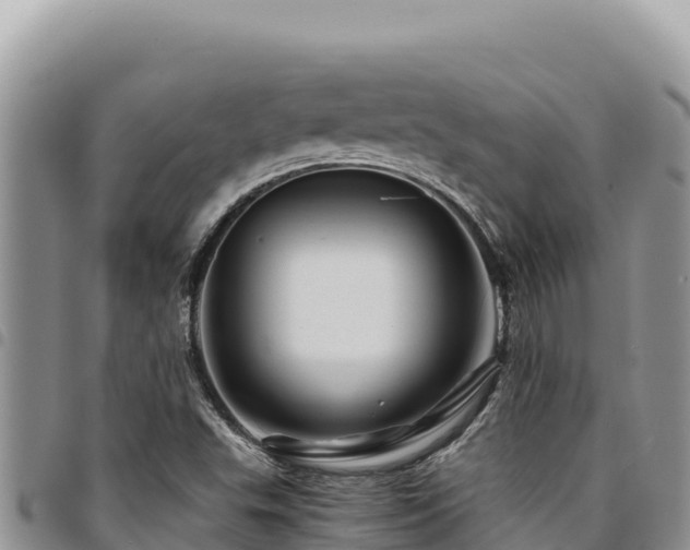 X0000094931503200711291323