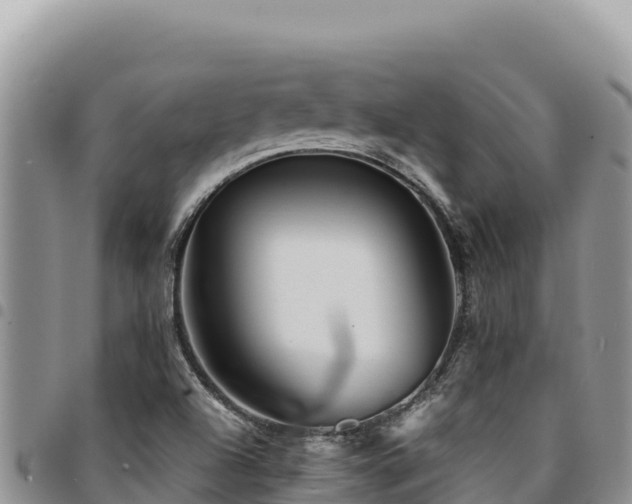 X0000094931504200711291323