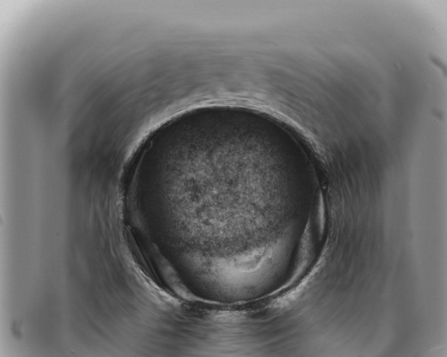 X0000094931506200711291323