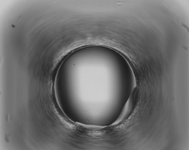X0000094931507200711291323