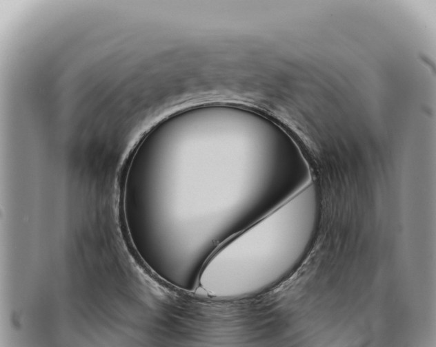 X0000094931508200711291323