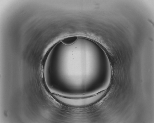 X0000094931510200711291323