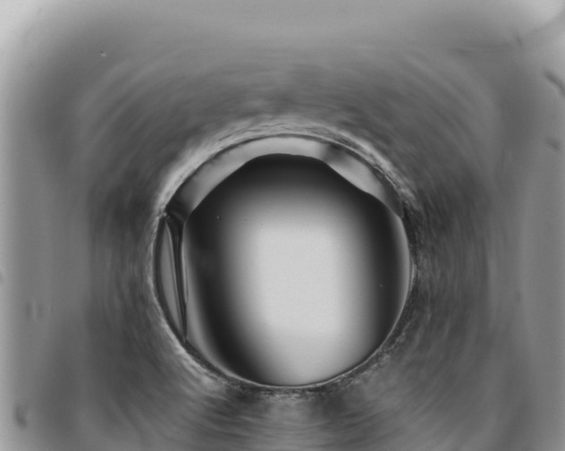 X0000094931512200711291323