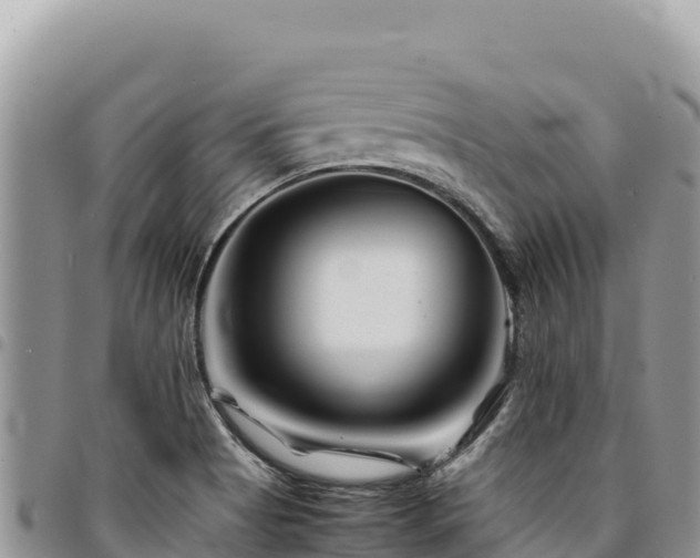 X0000094931513200711291323
