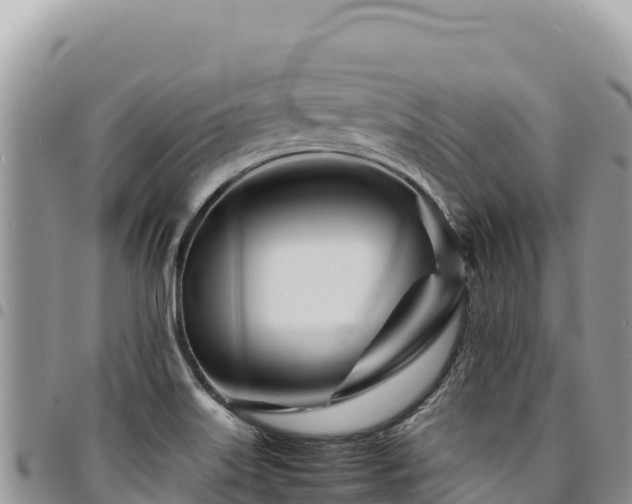 X0000094931515200711291323