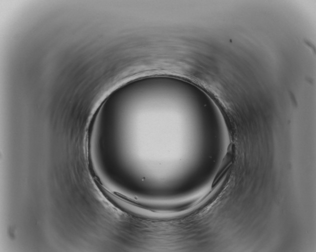 X0000094931516200711291323