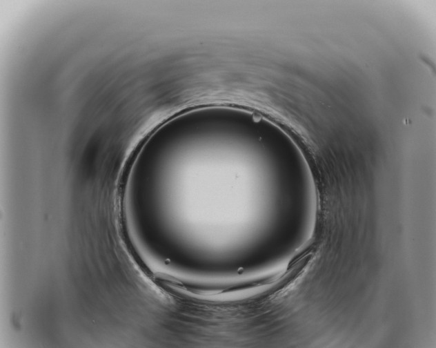 X0000094931517200711291323