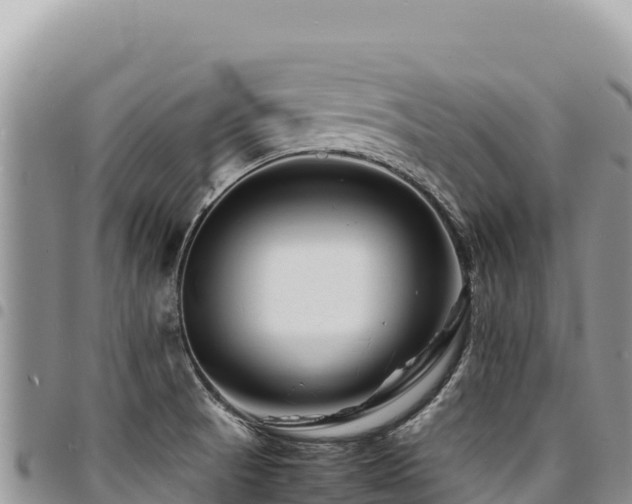 X0000094931521200711291323
