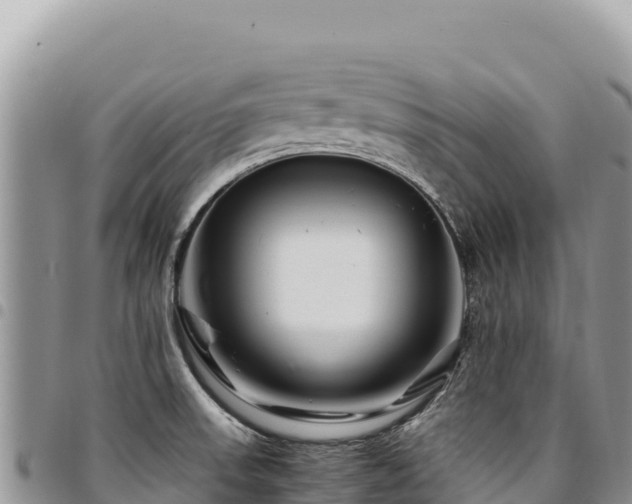 X0000094931523200711291323