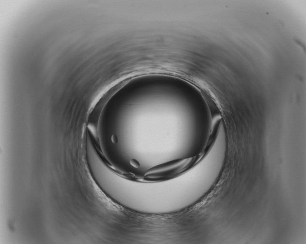 X0000094931524200711291323
