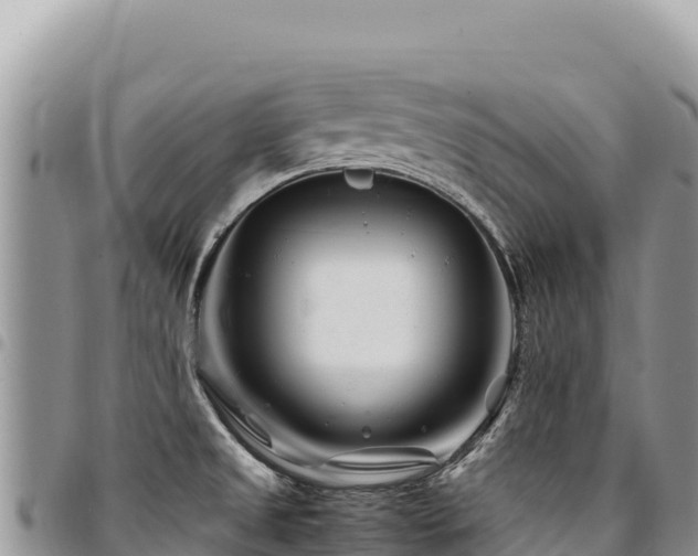 X0000094931525200711291323