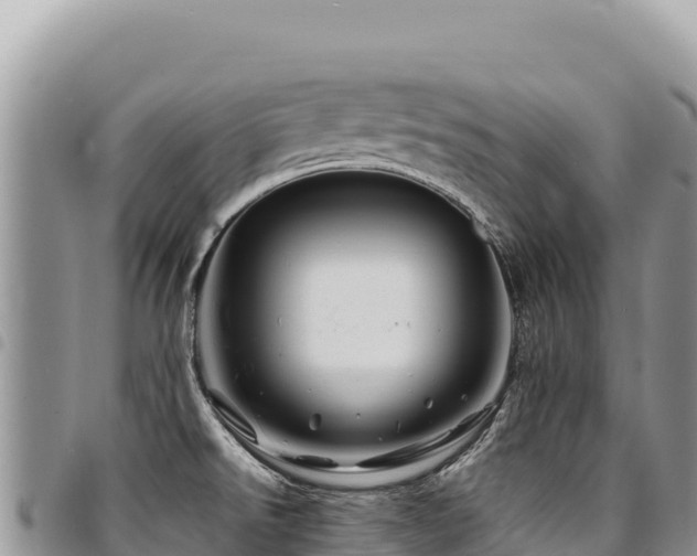 X0000094931526200711291323